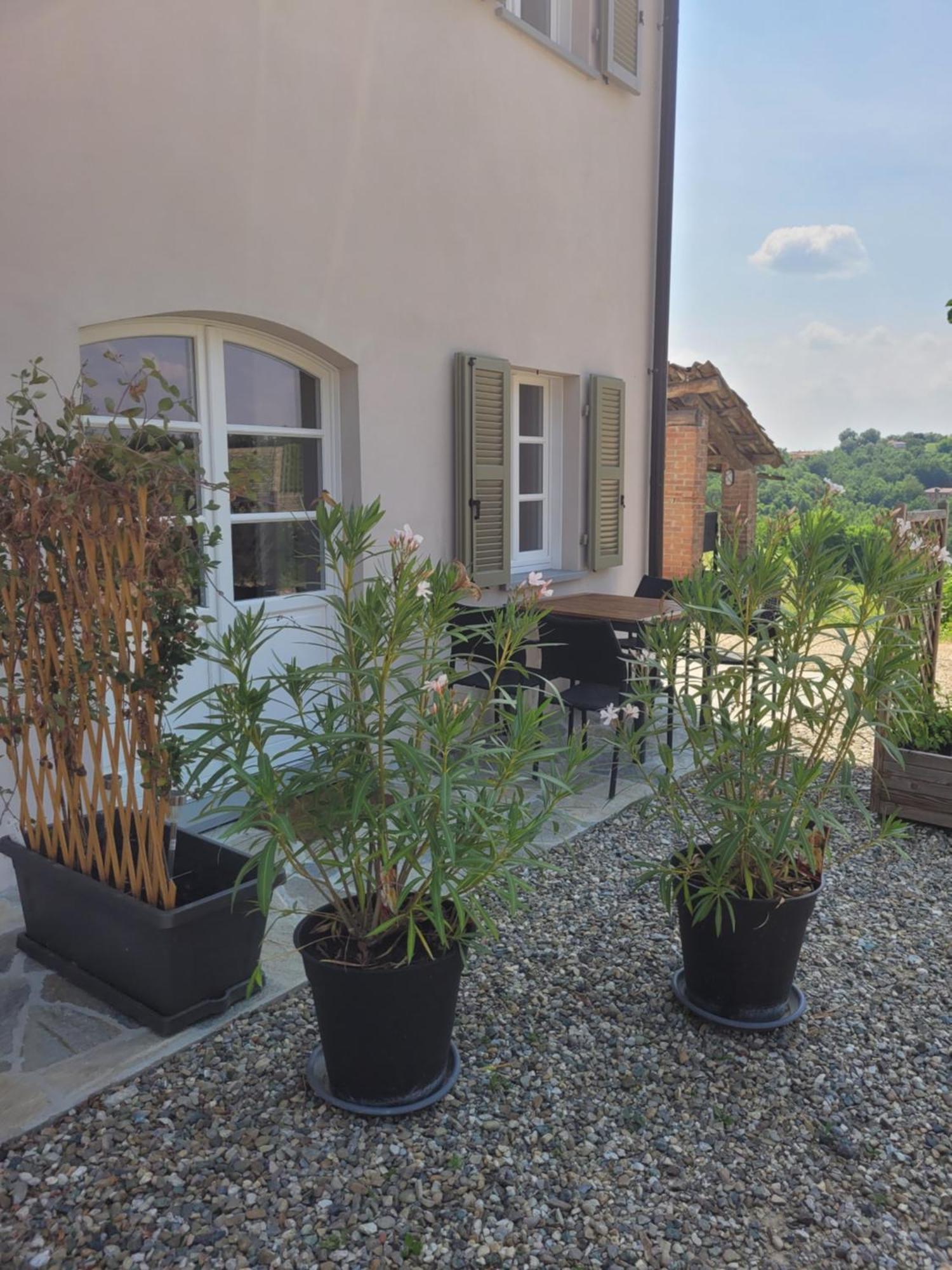 Cascina Allegria Castelnuovo  Ngoại thất bức ảnh