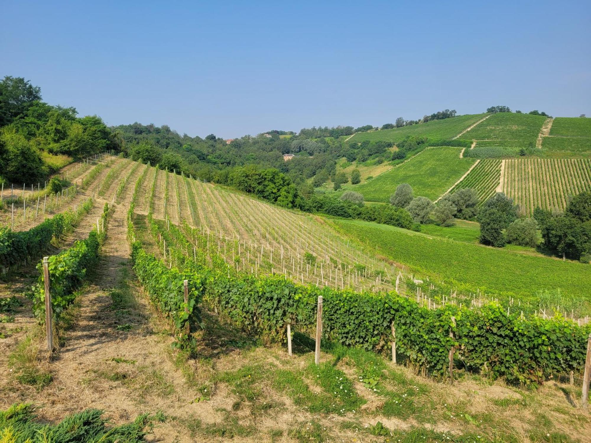 Cascina Allegria Castelnuovo  Ngoại thất bức ảnh
